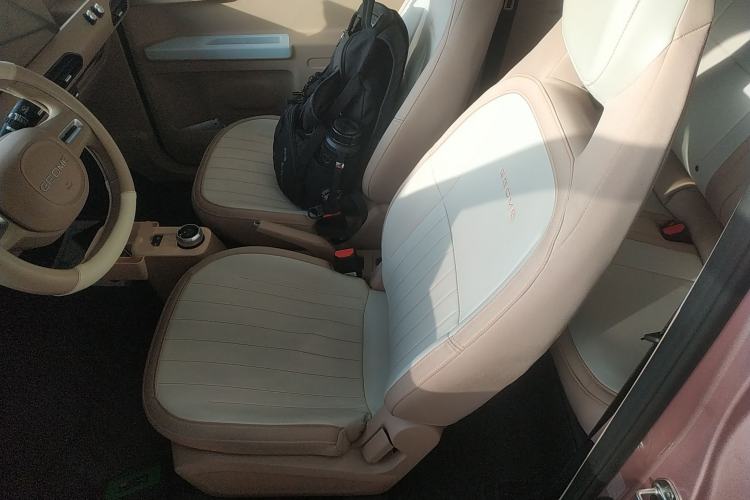 Used  Panda 2023 Panda Mini 200km Dynamic Bear