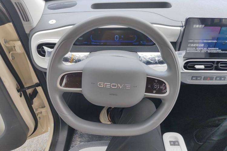 Used  Panda 2025 210 km – Yuanqi Bear
