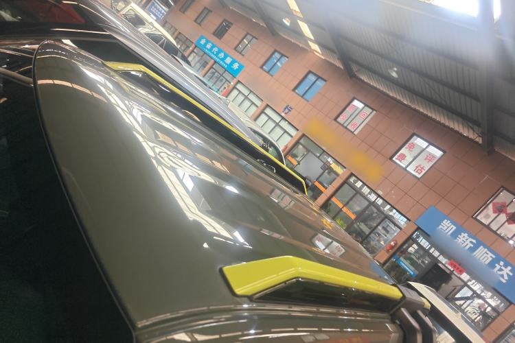 Used  Panda 2024 200km Panda Rider