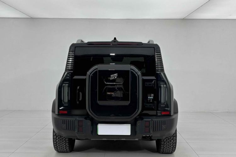 Used  Shanhai T2 2024 C-DM 208KM Mountain & Wilderness Edition
