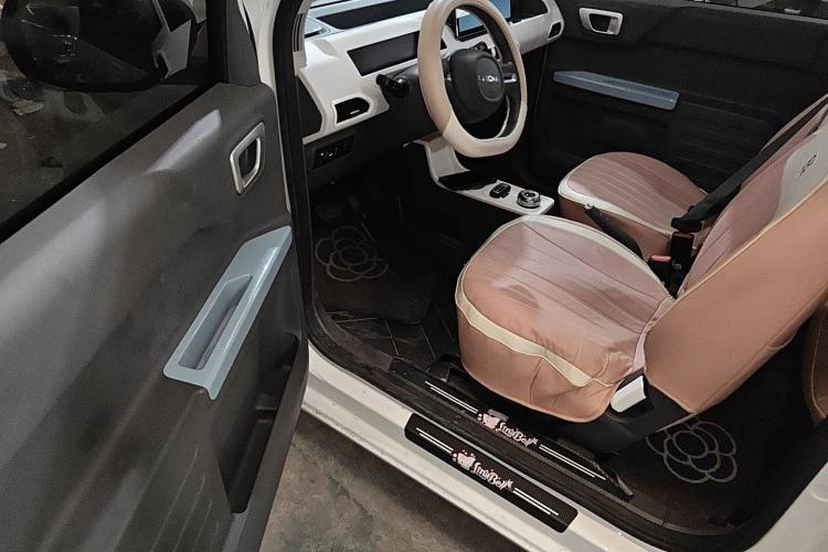 Used  Panda 2023 Panda Mini 200km Dynamic Bear
