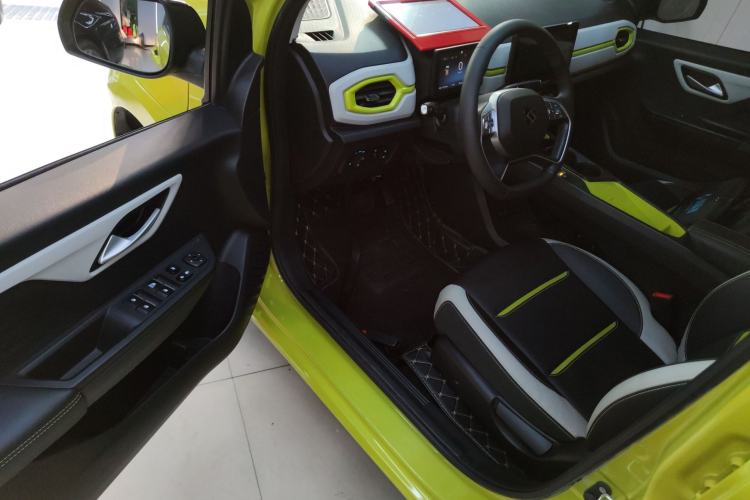 Used SOL E10X 2022 Flower Fairy Design Four-Leaf Clover
