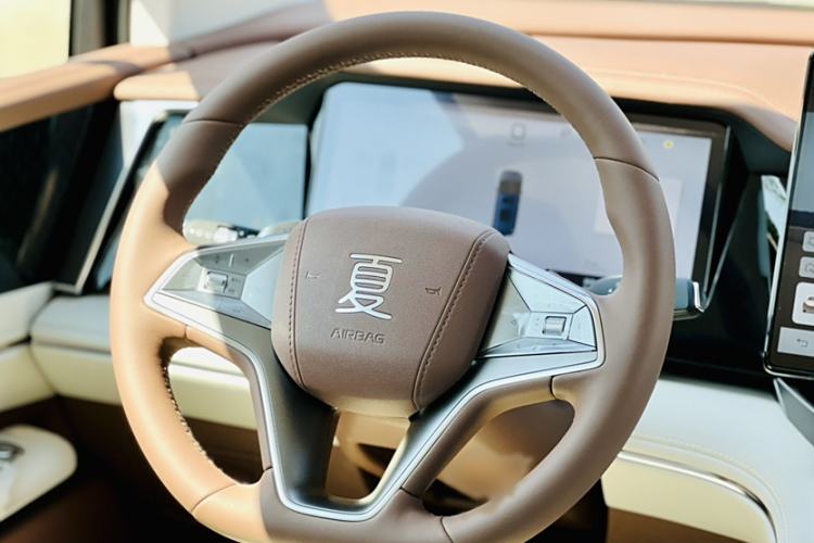 Used BYD Xia 2025 DM-i 1.5T 100km Leading Model