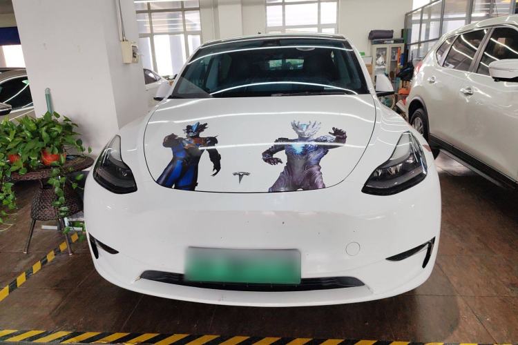 Used Tesla Model Y 2021 Standard Range Rear-Wheel Drive Version
