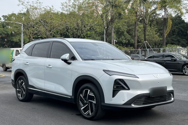 Used Wuling Xingguang S 2024 130km Flagship Version
