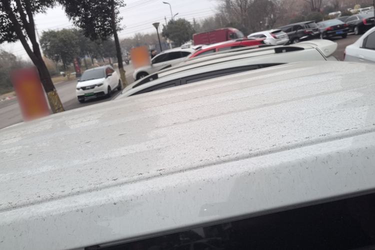 Used  Panda 2024 Panda Mini 200km Endurance Bear
