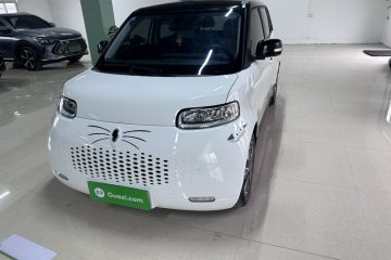 Used ORA White Cat 2020 305 km Luxury Version