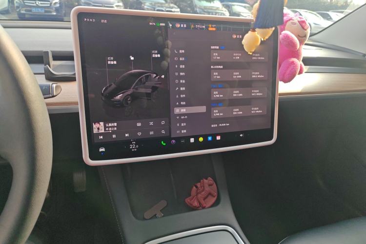 Used Tesla Model 3 2022 Rear-Wheel-Drive Version