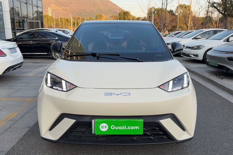 Used BYD Seagull 2024 Honor Edition 305km Freedom Version
