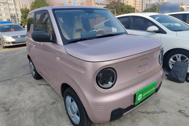 Used  Panda 2023 Panda Mini 200km Endurance Bear
