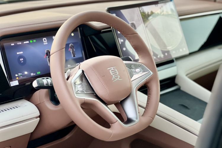 Used BYD Xia 2025 DM-i 1.5T 100km Leading Model
