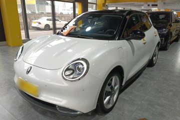 Used ORA Good Cat 2021 400km Standard Range Athena Edition Lithium-Ion Battery