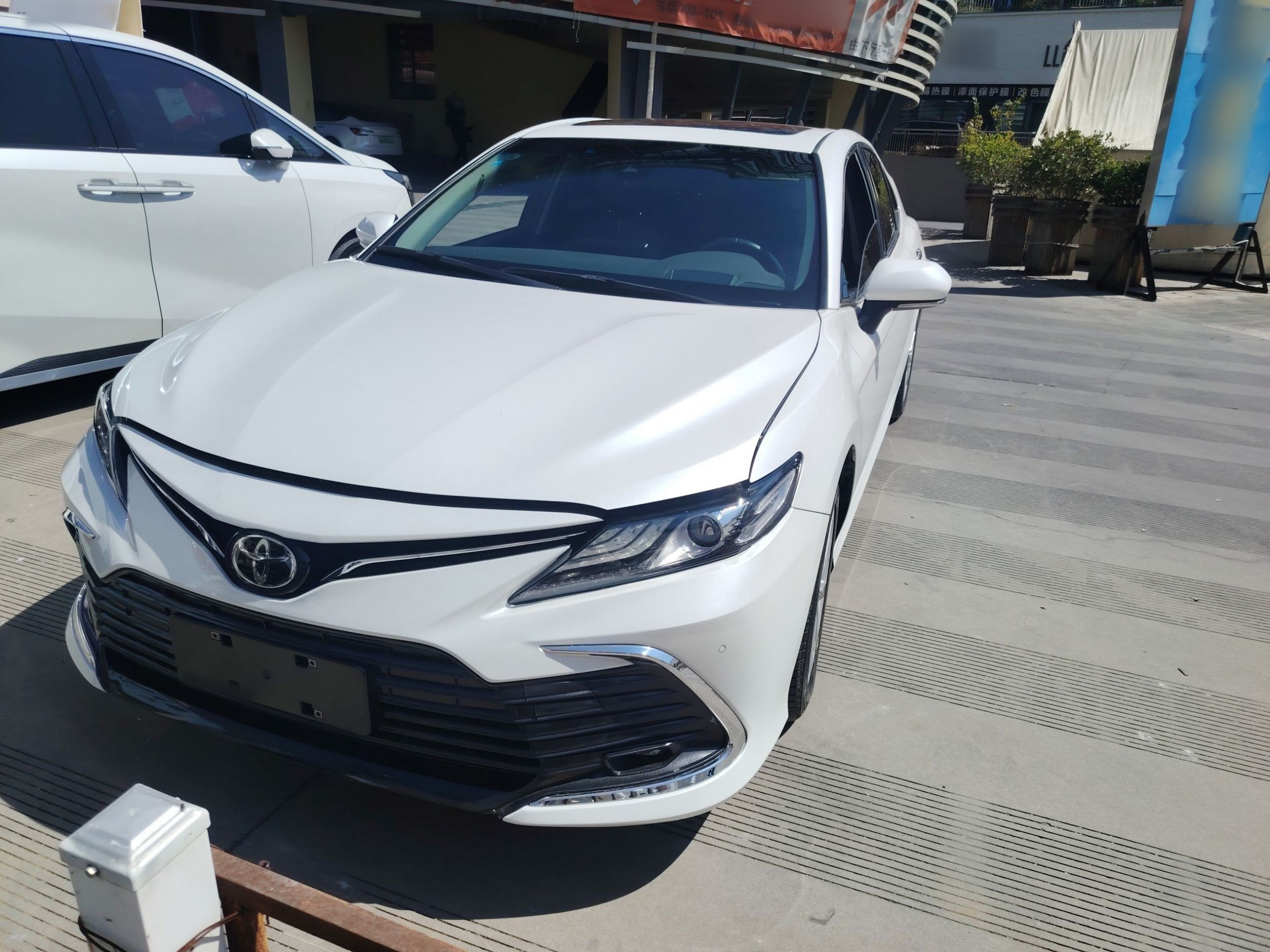 تحت مقدمة السيارة