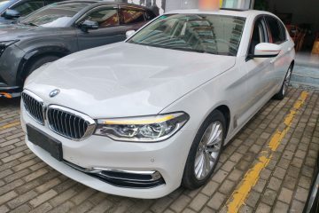 Used BMW 5 Series 2020 530Li Leading Edition Luxury Package