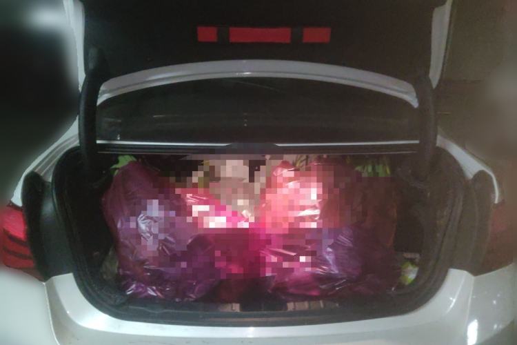 Used BMW 3 Series 2017 318i Fashion Model
