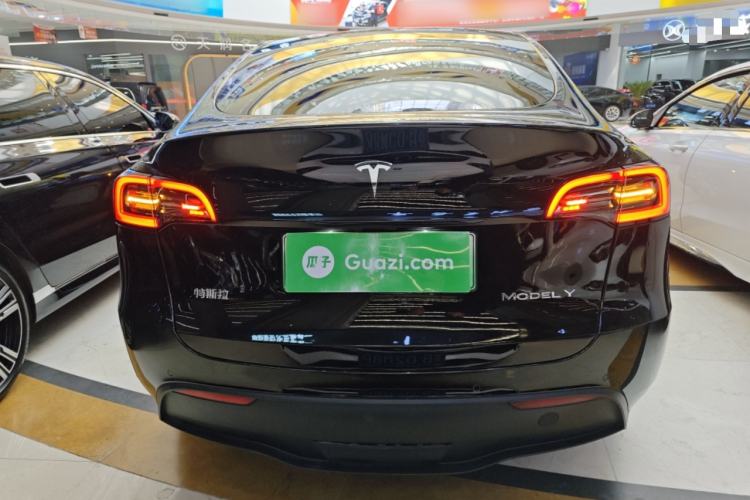 Used Tesla Model Y 2021 Standard Range Rear-Wheel Drive Version
