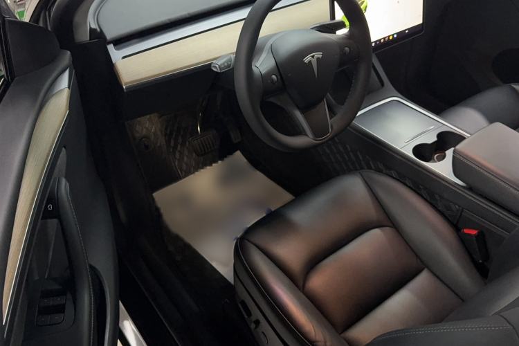 Used Tesla Model Y 2021 Standard Range Rear-Wheel Drive Version
