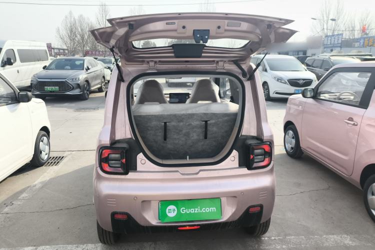 Used  Panda 2024 Panda Mini 200km Endurance Bear