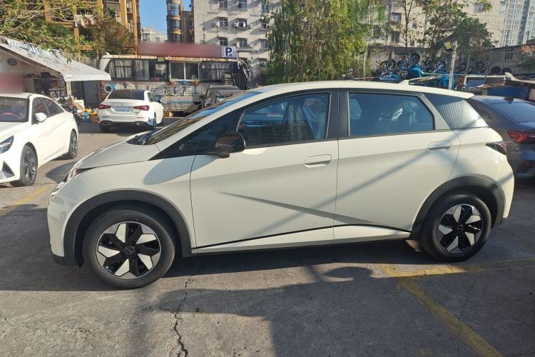 Used BYD Dolphin 2025 420km Free Edition
