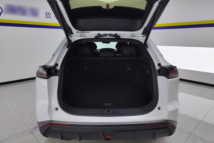 Used  S07 2023 200Max Range-Extended Version
