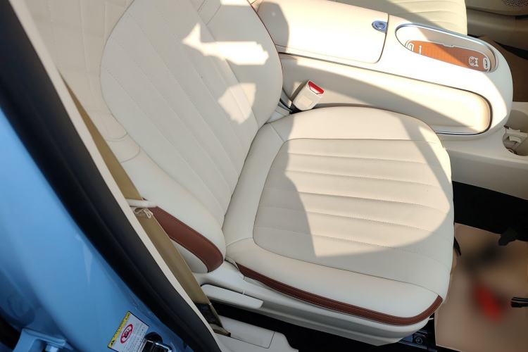 Used ORA Good Cat 2023 401 km Standard Range Luxury Version Lithium Iron Phosphate