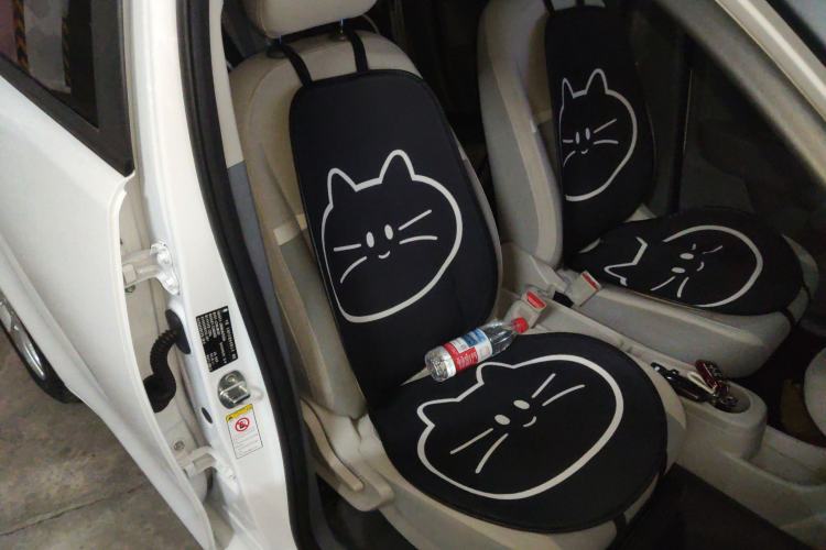 Used ORA White Cat 2020 360 km Luxury Version
