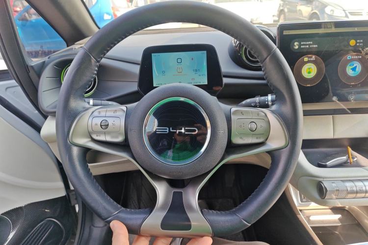 Used BYD Dolphin 2021 405 km Free Version