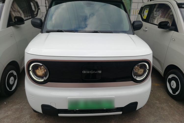 Used  Panda 2023 Panda Mini 200km Dynamic Bear
