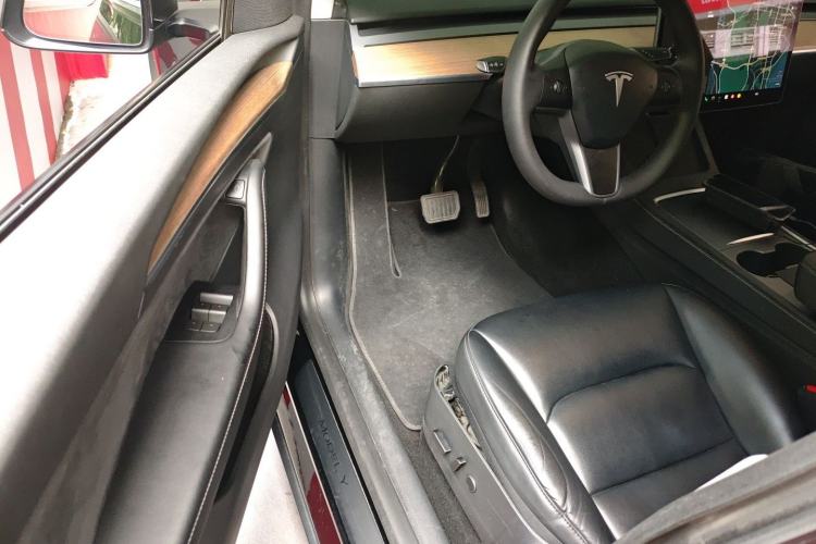 Used Tesla Model Y 2021 Standard Range Rear-Wheel Drive Version
