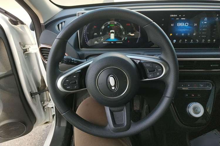 Used ORA White Cat 2022 Upgraded Model 305km Comfort Version Lithium-Ion Battery
