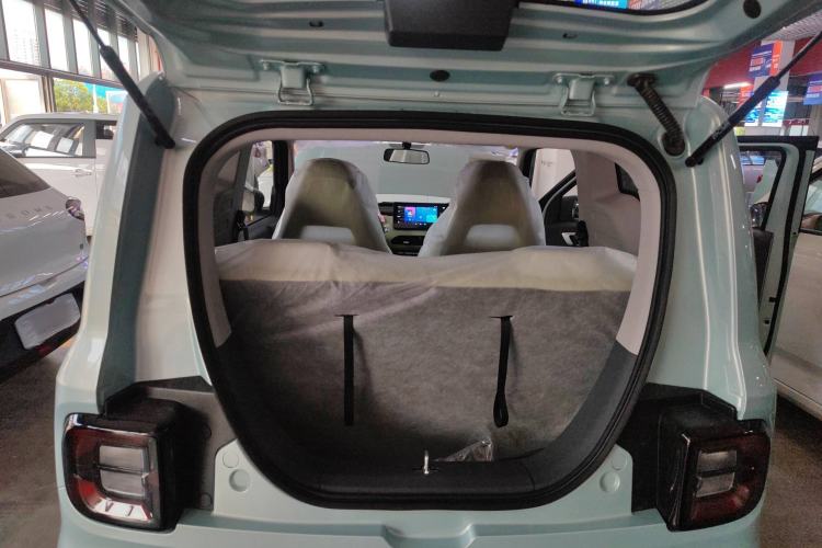 Used  Panda 2024 Panda Mini 200km Endurance Bear
