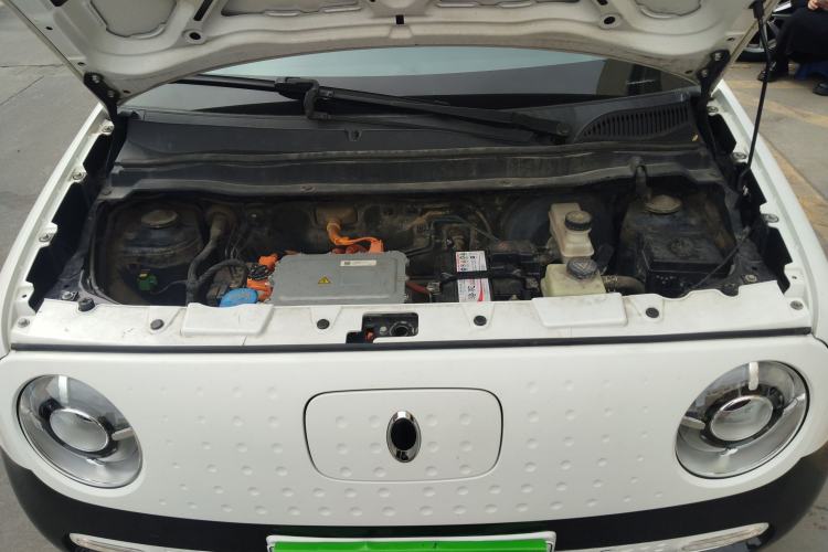 Used ORA Black Cat 2021 351 km Standard Version
