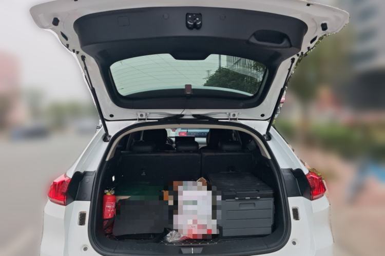 Used Wey VV5 2021 1.5T Two-Wheel Drive Color Pioneer
