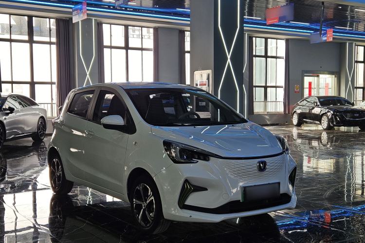 Used Oshan Benni E-Star 2020 Heartbeat Edition NMC Lithium