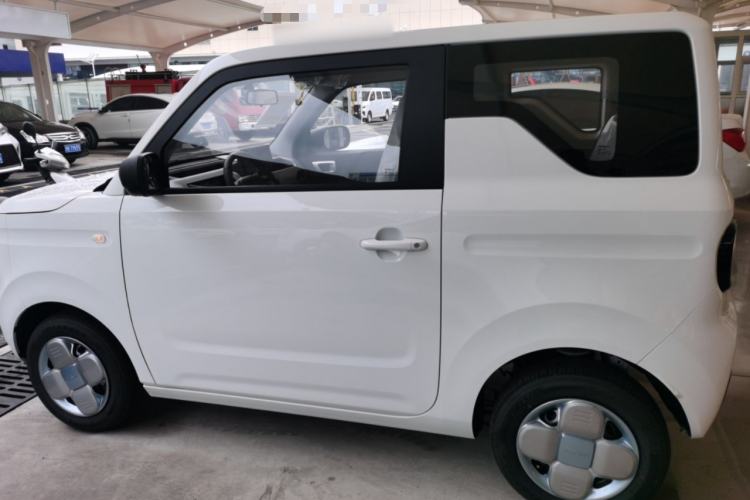 Used  Panda 2024 Panda Mini 200km Endurance Bear