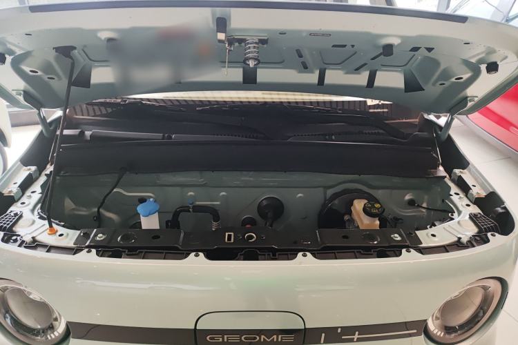 Used  Panda 2025 210 km – Yuanqi Bear
