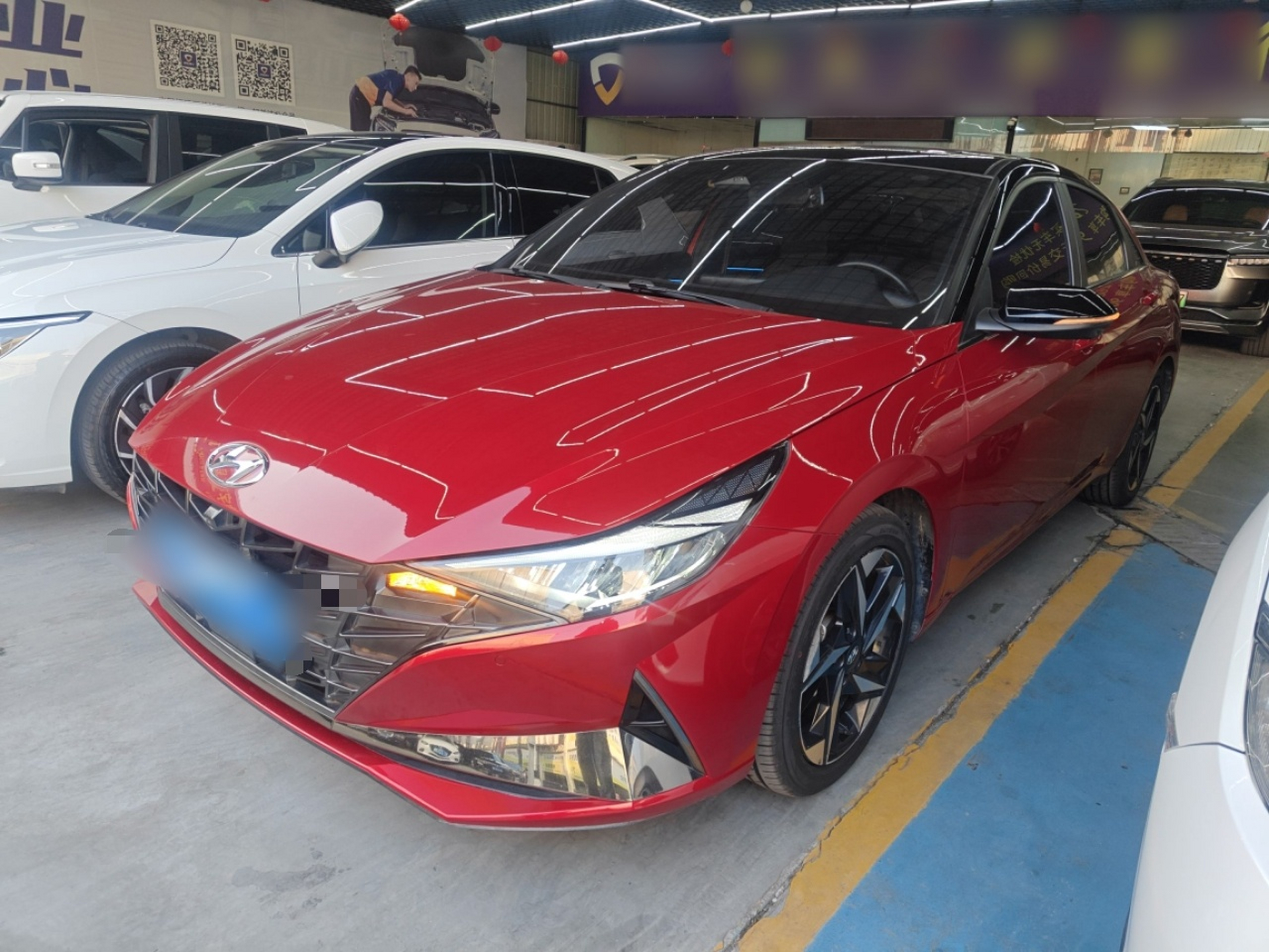 تحت مقدمة السيارة