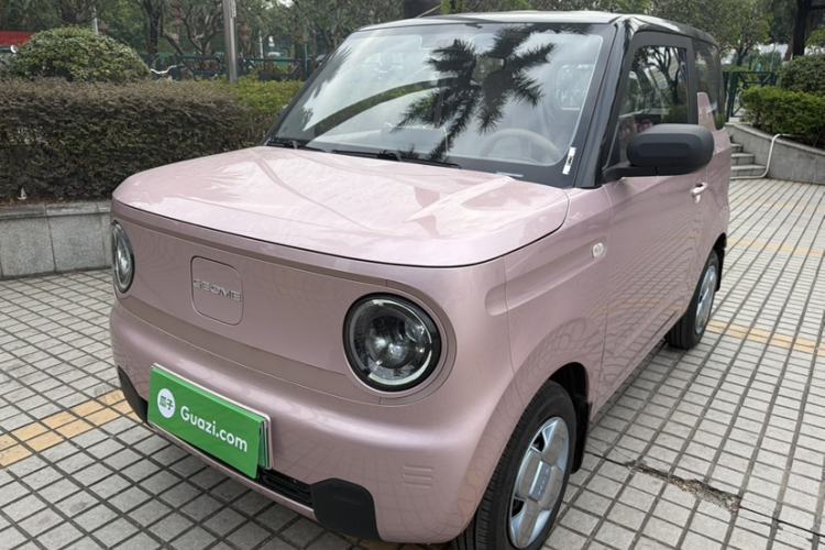 Used  Panda 2023 Panda Mini 200km Endurance Bear
