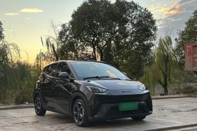 Used BYD Seagull 2023 Flying Edition
