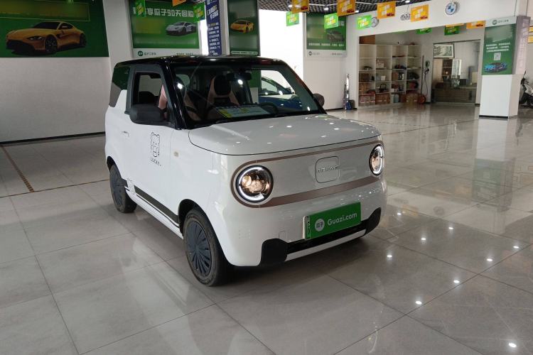 Used  Panda 2023 Panda Mini 200km Endurance Bear
