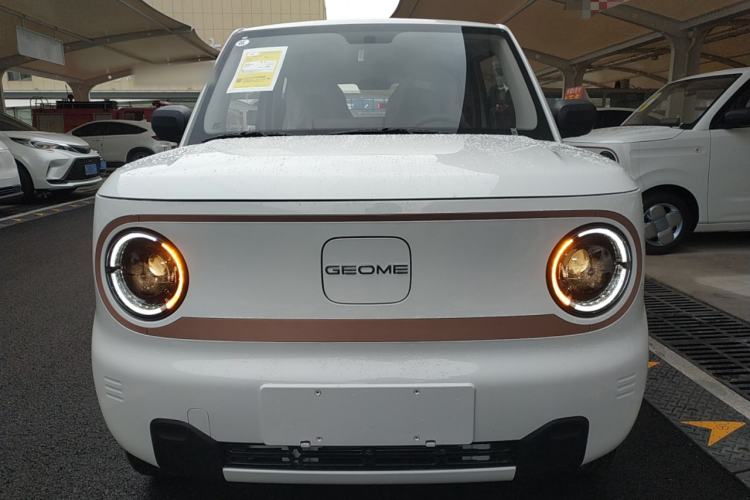 Used  Panda 2024 Panda Mini 200km Endurance Bear