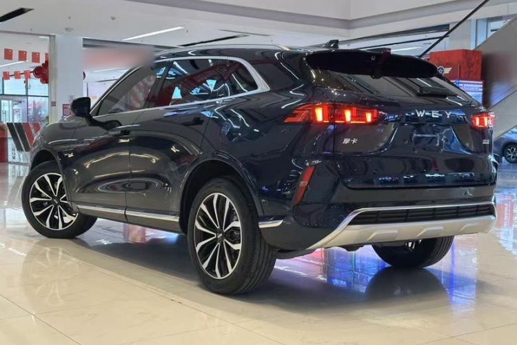 Used Wey Mocha 2021 2.0T Two-Wheel-Drive Premium Edition
