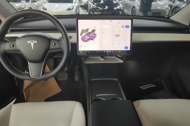 Used Tesla Model Y 2021 Standard Range Rear-Wheel Drive Version
