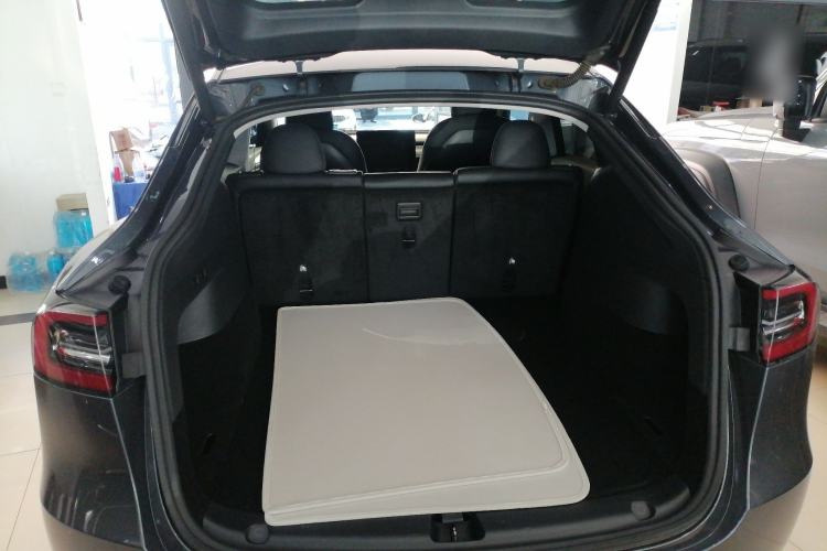 Used Tesla Model Y 2021 Standard Range Rear-Wheel Drive Version
