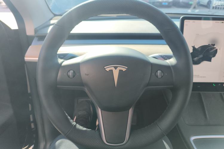 Used Tesla Model Y 2021 Standard Range Rear-Wheel Drive Version
