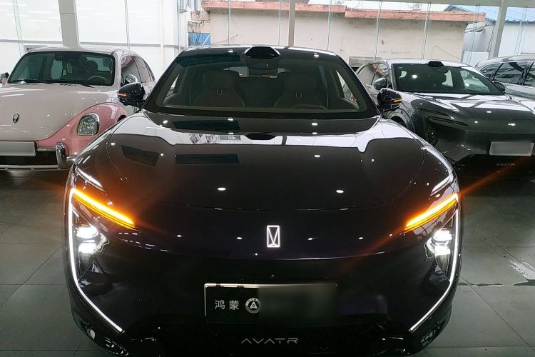 Used  07 2024 Max Extended-Range Edition
