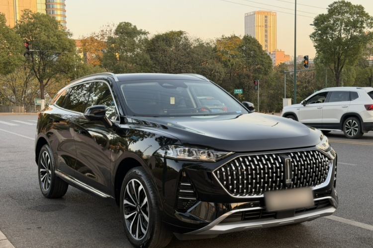 Used Wey Mocha 2021 2.0T Two-Wheel-Drive Premium Edition
