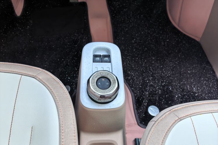 Used  Panda 2023 Panda Mini 200km Endurance Bear
