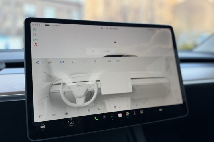 Used Tesla Model 3 2022 Performance High-Performance All-Wheel-Drive Version