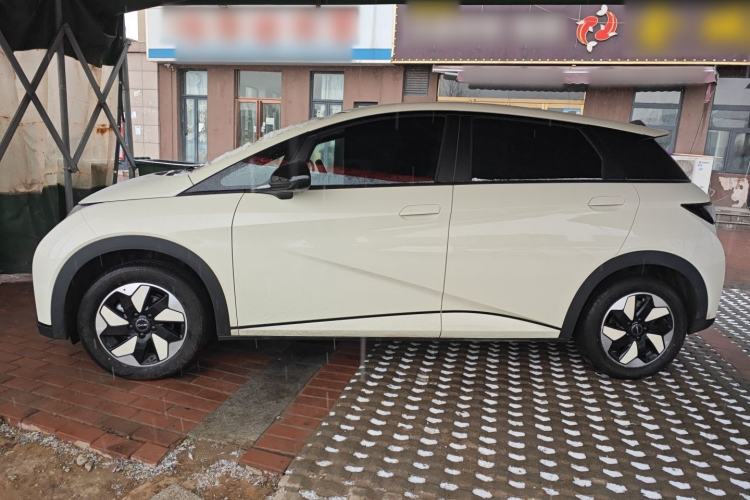 Used BYD Dolphin 2025 420km Free Edition
